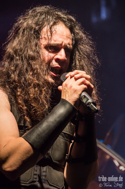 majesty-hirsch-nuernberg-20-12-2013_52