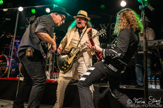 dr-woos-rocknroll-circus-hirsch-nuernberg-13-1-2017_0065