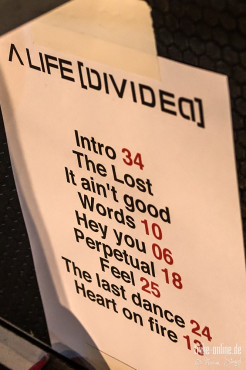 a-life-divided-loewensaal-nuernberg-05-12-2013_32