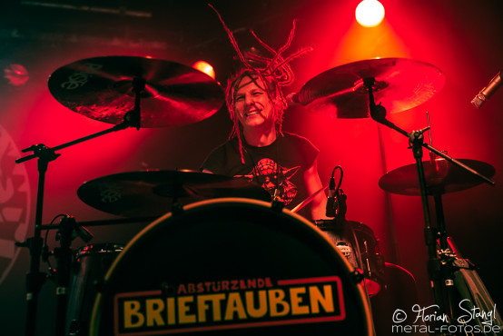 abstuerzende-brieftauben-hirsch-nuernberg-17-12-2018_0027