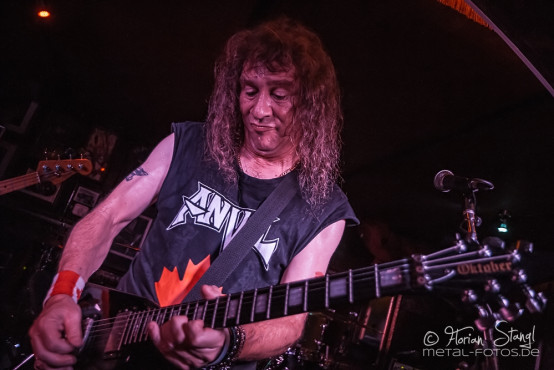 anvil-paunchy-cats-lichtenfels-07-08-2013-13
