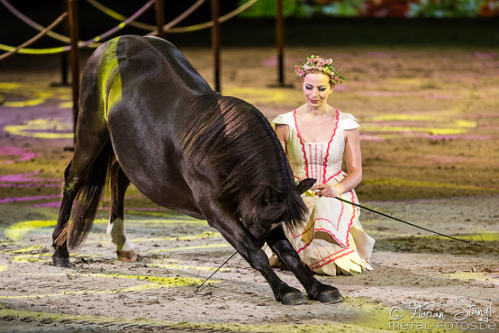 apassionata-arena-nuernberg-23-01-2016_0008