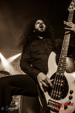 bilocate-hirsch-nuernberg-29-09-2013_03