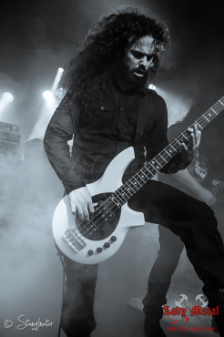 bilocate-hirsch-nuernberg-29-09-2013_35