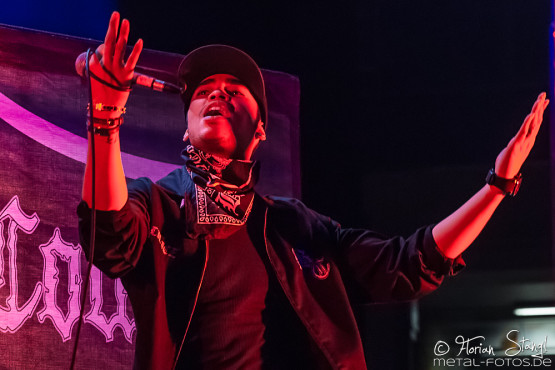 body-count-feat-ice-t-rock-im-park-06-06-2015_0020