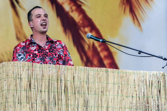 broilers-rock-im-park-06-06-2015_0011