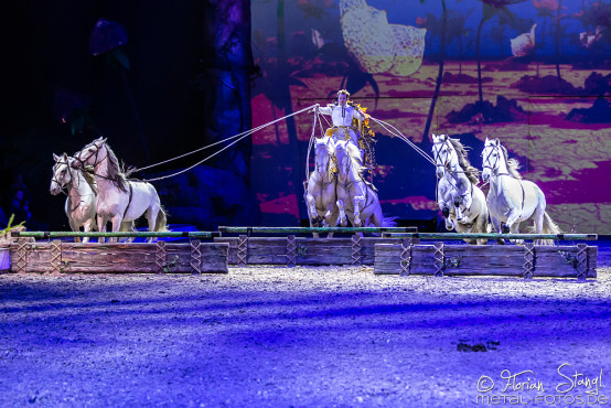 cavalluna-arena-nuernberg-16-2-2019_0007