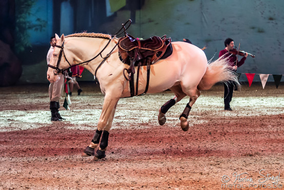 cavalluna-arena-nuernberg-16-2-2019_0027