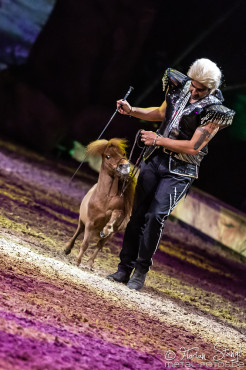 cavalluna-arena-nuernberg-16-2-2019_0040
