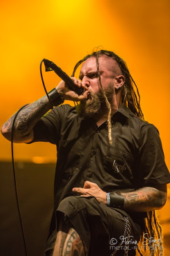 decapitated-summer-breeze-2014-13-8-2014_0021