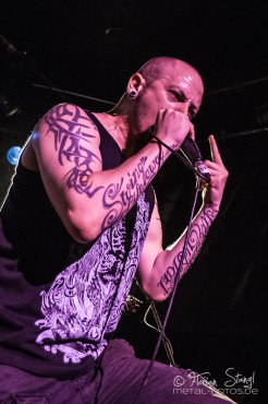 defy-the-laws-of-tradition-hirsch-nuernberg-13-08-2013-44