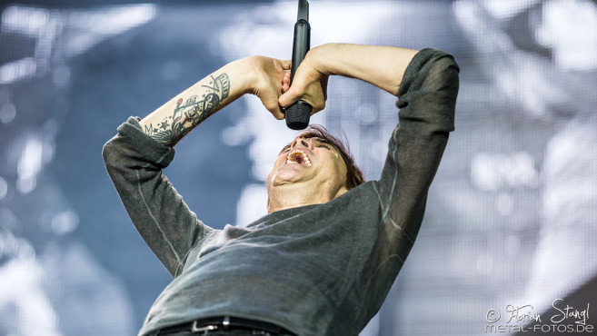 Die Toten Hosen @ Rock im Park 2017, 2.6.2017