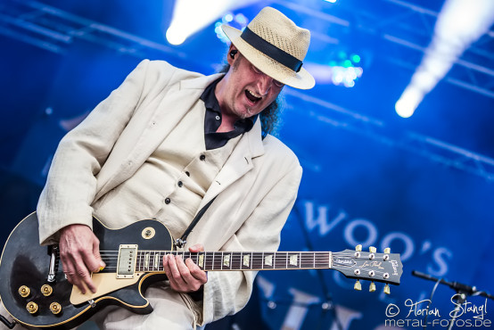 Dr. Woo's Rock'n'Roll Circus @ Schloss Eyrichshof, 26.7.2017