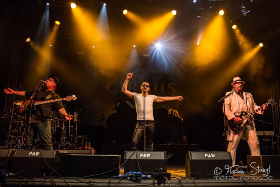 dr-woos-rocknroll-circus-31-7-2014_0016