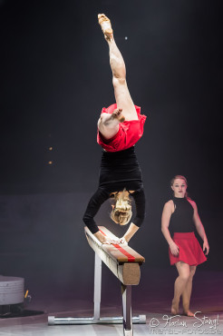 feuerwerk-der-turnkunst-arena-nuernberg-17-01-2016_0059