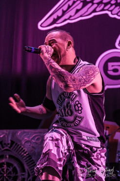 five-finger-death-punch-zenith-muenchen-14-11-2013_66