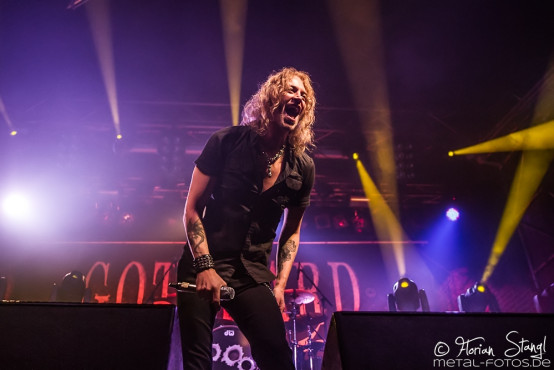 gotthard-rockfabrik-nuernberg-11-11-2014_0025