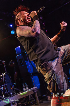 hellyeah-hirsch-nuernberg-13-06-2013-18