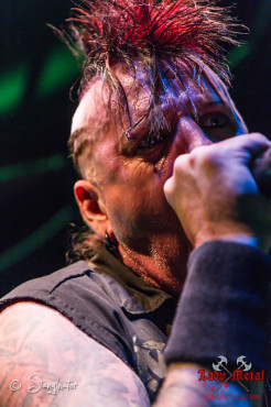 hellyeah-hirsch-nuernberg-13-06-2013-26