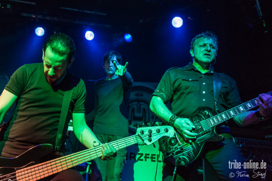 maerzfeld-hirsch-nuernberg-02-05-2013-09