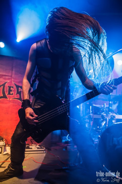 majesty-hirsch-nuernberg-20-12-2013_47