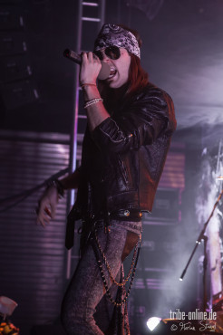 reverse-grip-musichall-geiselwind-04-04-2013-37