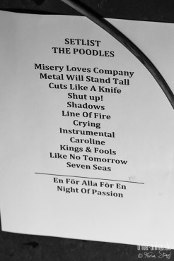 the-poodles-rockfabrik-nuernberg-16-03-2014_0107