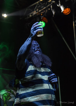 trollfest-heidenfest-2-11-2012-geiselwind-11
