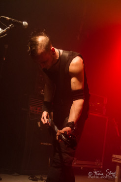unzucht-hirsch-nuernberg-7-2-2013-17