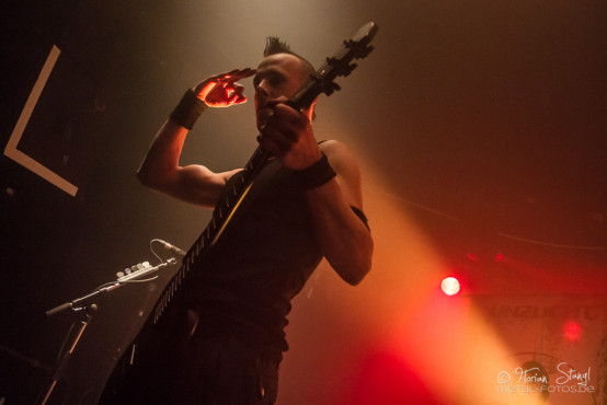 unzucht-hirsch-nuernberg-7-2-2013-27