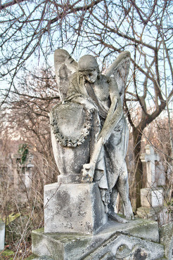 wien-vienna-2012-st-marxer-friedhof-10