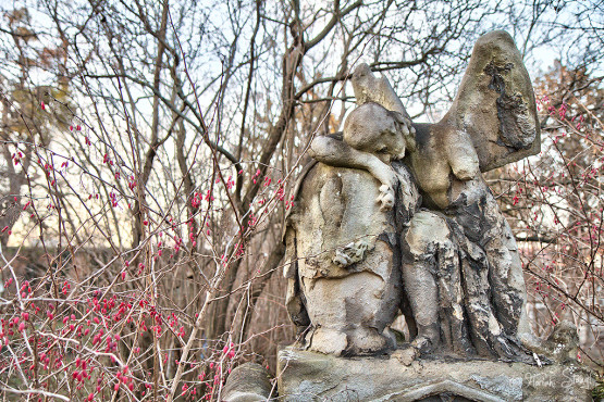 wien-vienna-2012-st-marxer-friedhof-12