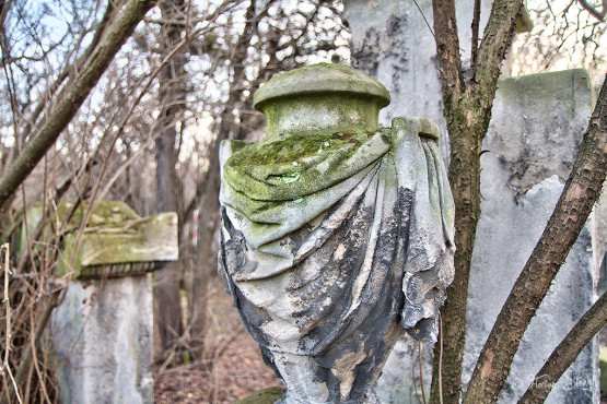 wien-vienna-2012-st-marxer-friedhof-16