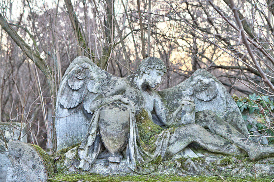 wien-vienna-2012-st-marxer-friedhof-7