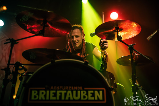 abstuerzende-brieftauben-hirsch-nuernberg-17-12-2018_0009