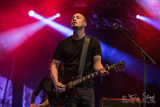 anneke-van-giersbergen-summer-breeze-2014-15-8-2014_0047