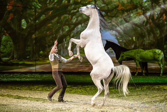 Apassionata - Cinema of Dreams