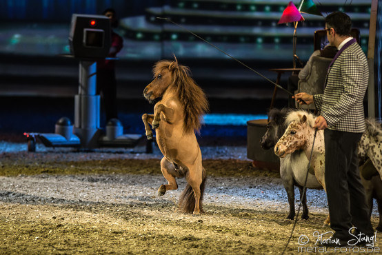 Apassionata - Cinema of Dreams