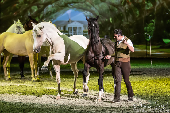 Apassionata - Cinema of Dreams