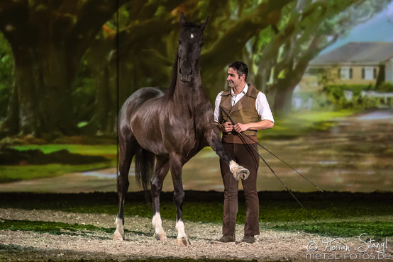 Apassionata - Cinema of Dreams