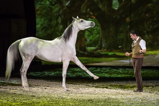 Apassionata - Cinema of Dreams