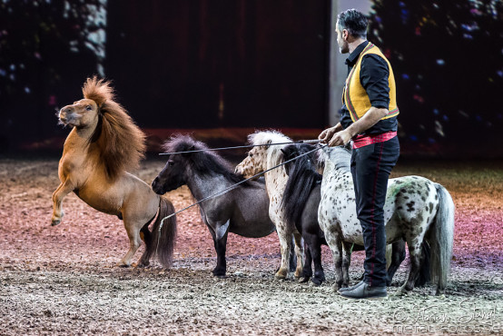 apassionata-arena-nuernberg-17-2-2018_0022