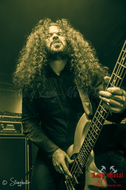 bilocate-hirsch-nuernberg-29-09-2013_25