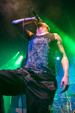 defy-the-laws-of-tradition-hirsch-nuernberg-13-08-2013-30