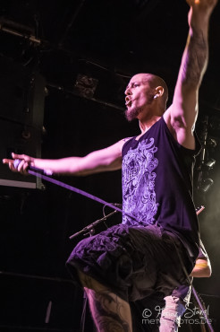 defy-the-laws-of-tradition-hirsch-nuernberg-13-08-2013-36