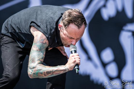 Donots @ Rock im Park 2017, 2.6.2017