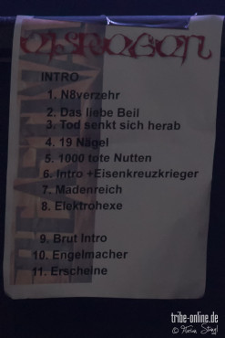 eisregen-beastival-2013-30-05-2013-28