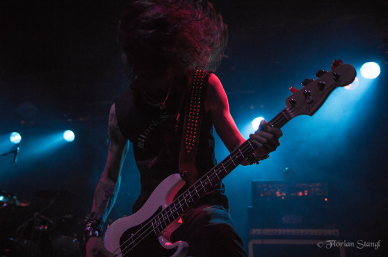 grave-12-9-2012-hirsch-nuernberg-34