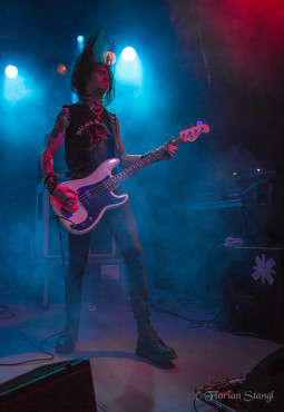 grave-12-9-2012-hirsch-nuernberg-36