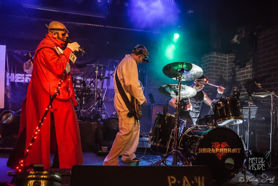 herzparasit-rockfabrik-nuernberg-06-02-2014_0026